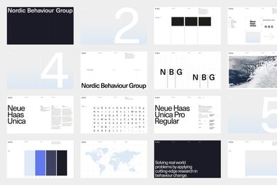 Nordic Behaviour Group